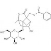 芍藥內(nèi)酯苷，松果菊苷，類(lèi)葉升麻苷，異類(lèi)葉升麻苷