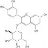 氯化矢車菊素-3-O-葡萄糖苷，氯化矢車菊素