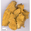 質(zhì)優(yōu)價(jià)廉的大黃素，虎杖提取物，植物提取物