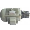 1/2HP-6P電機(jī)，1HP-6P電機(jī)，2HP-6P電機(jī)，3HP-6P電機(jī)西麗生產(chǎn)廠家