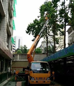 廣東廣寧高空車出租-中橋建