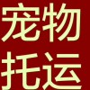 客車：大連到張家口的長途大巴車