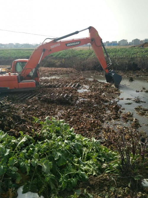 湘西自治州沼澤地挖掘機(jī)出租在哪里？