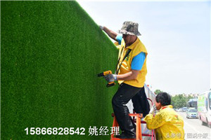 青島地區(qū)立面墻面仿真植物-人工草皮生產(chǎn)基地