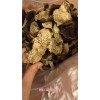 新聞:遼寧新會(huì)20年?yáng)|甲陳皮送禮，首選御廣陳_新會(huì)陳皮哪個(gè)牌